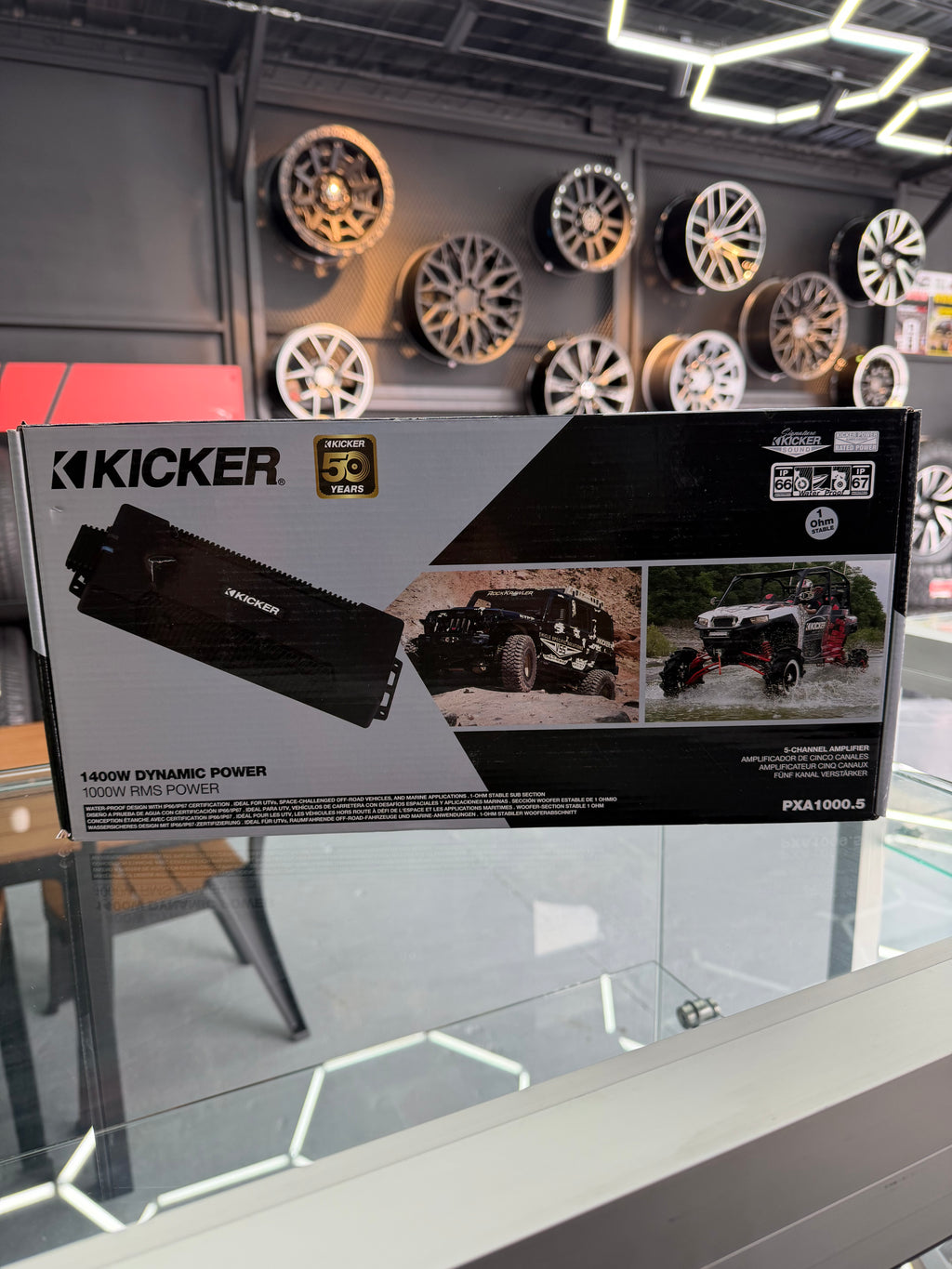 PLANTA KICKER MARINA